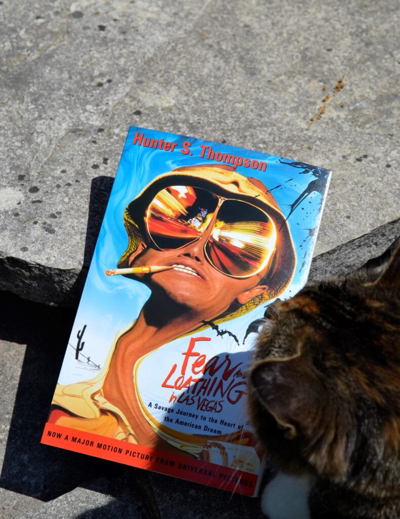 A calico tabby sniffs Fear and Loathing in Las Vegas.