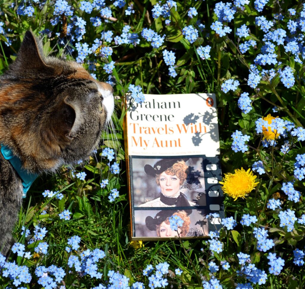 A calico tabby stands amongst small blue flowers surrounding Travels With My Aunt.