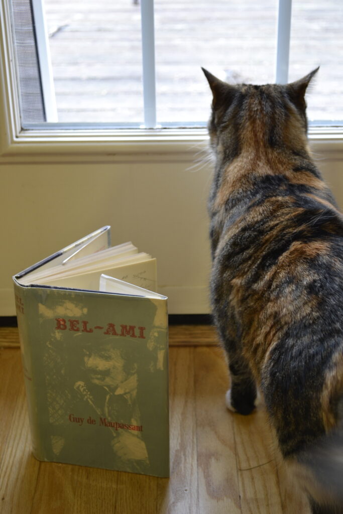 A calico tabby stands beside Bel-Ami.