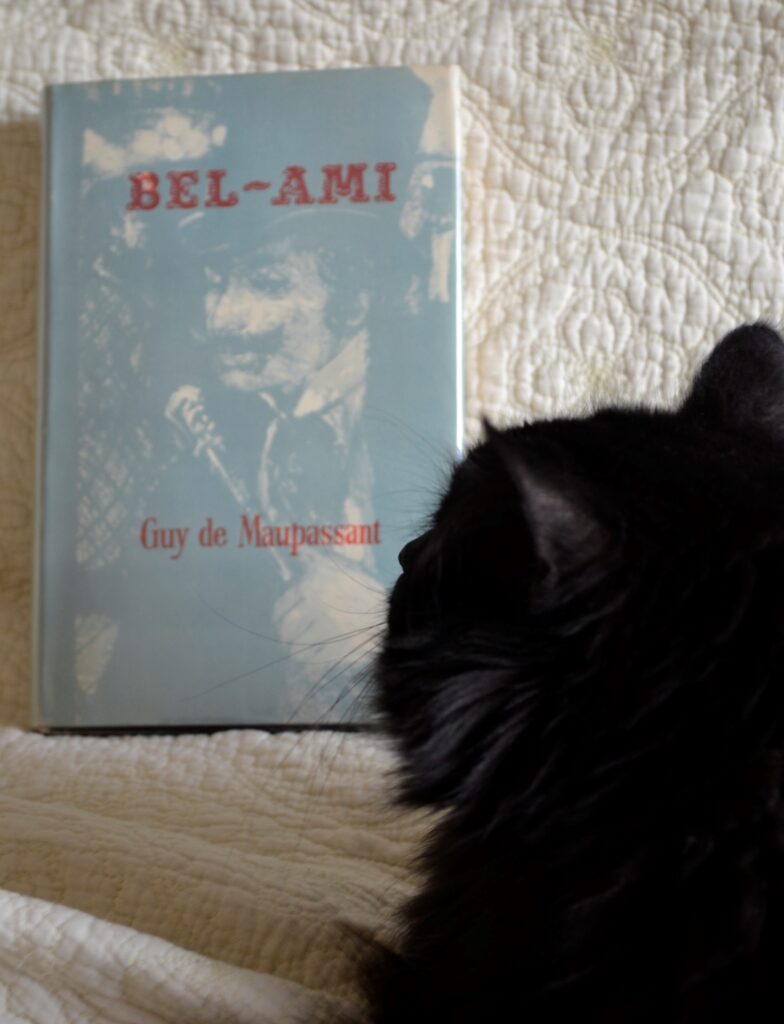 A fluffy black cat sits beside a copy of Bel-Ami.