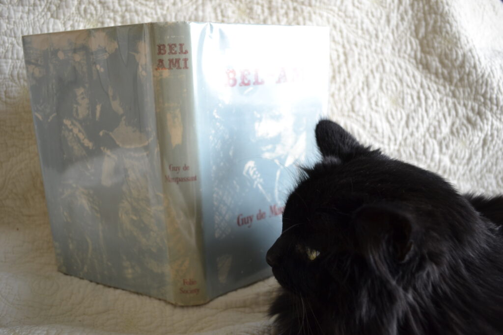 A fluffy black cat sits beside a copy of Bel-Ami.