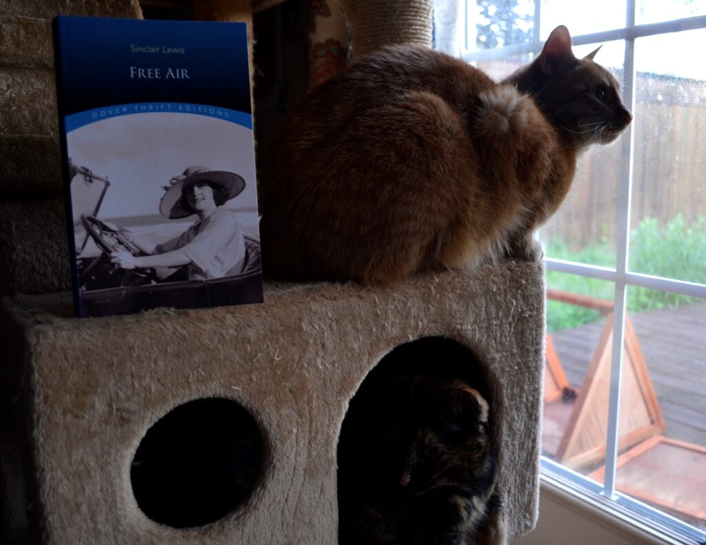 An orange tabby and a tortoiseshell cat sit on a cat tree beside Free Air.