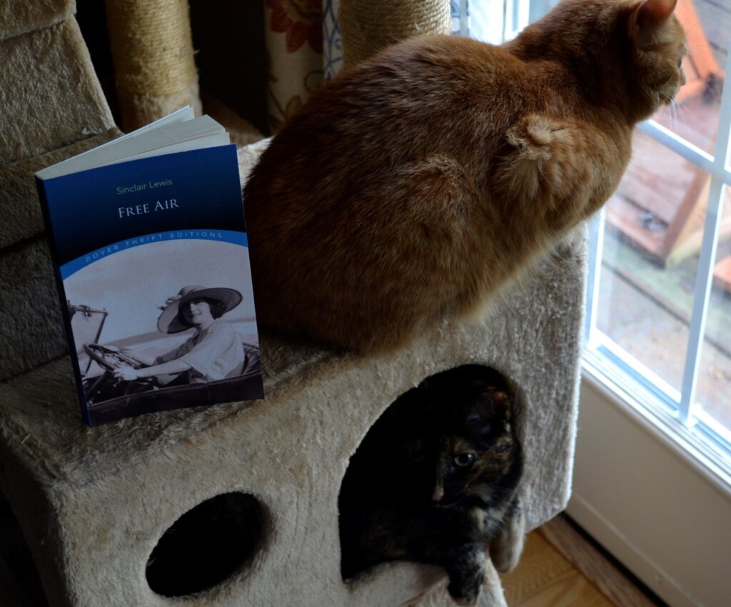 An orange tabby and a tortoiseshell cat sit on a cat tree beside Free Air.