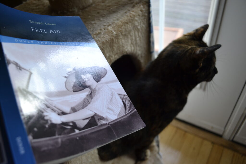 A woman driving a car on the cover of Free Air, with a tortoiseshell cat in the background.