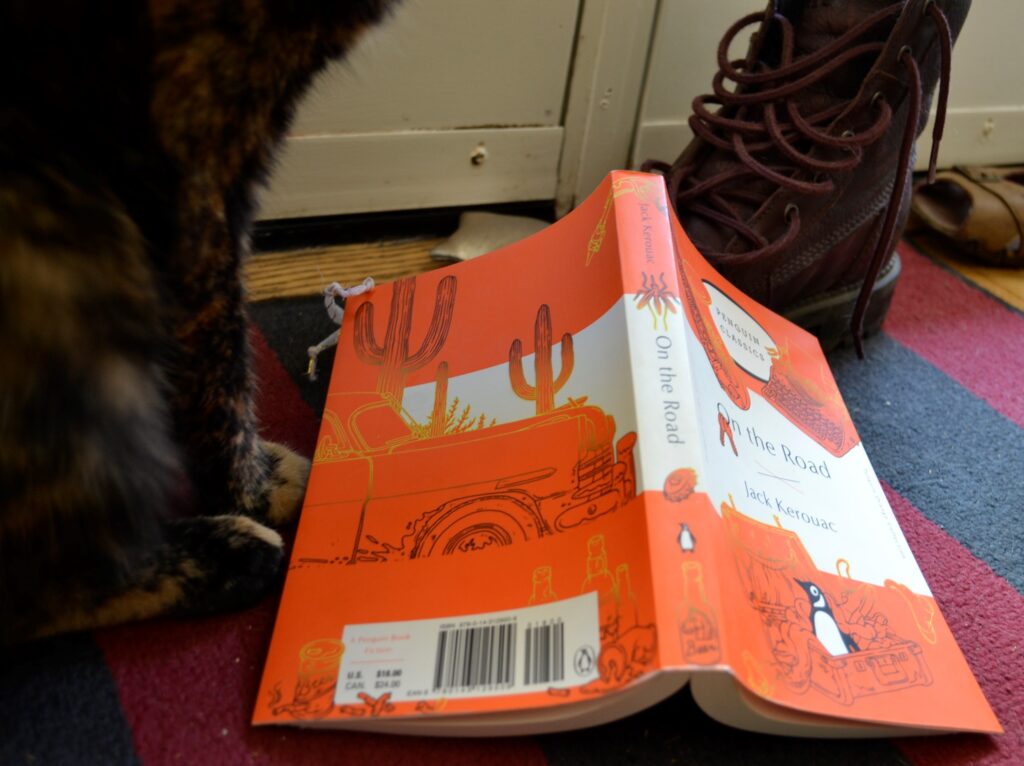 A tortoiseshell cat beside an orange book and a brown boot.