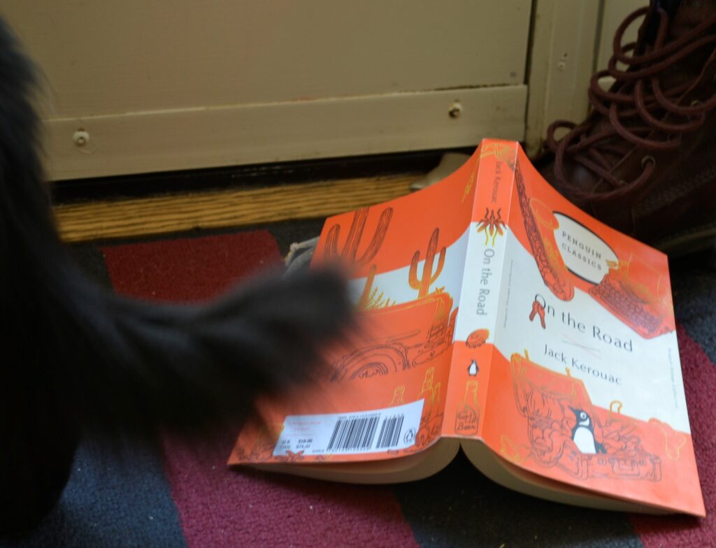 A fluffy black tail over an orange book and a brown boot.