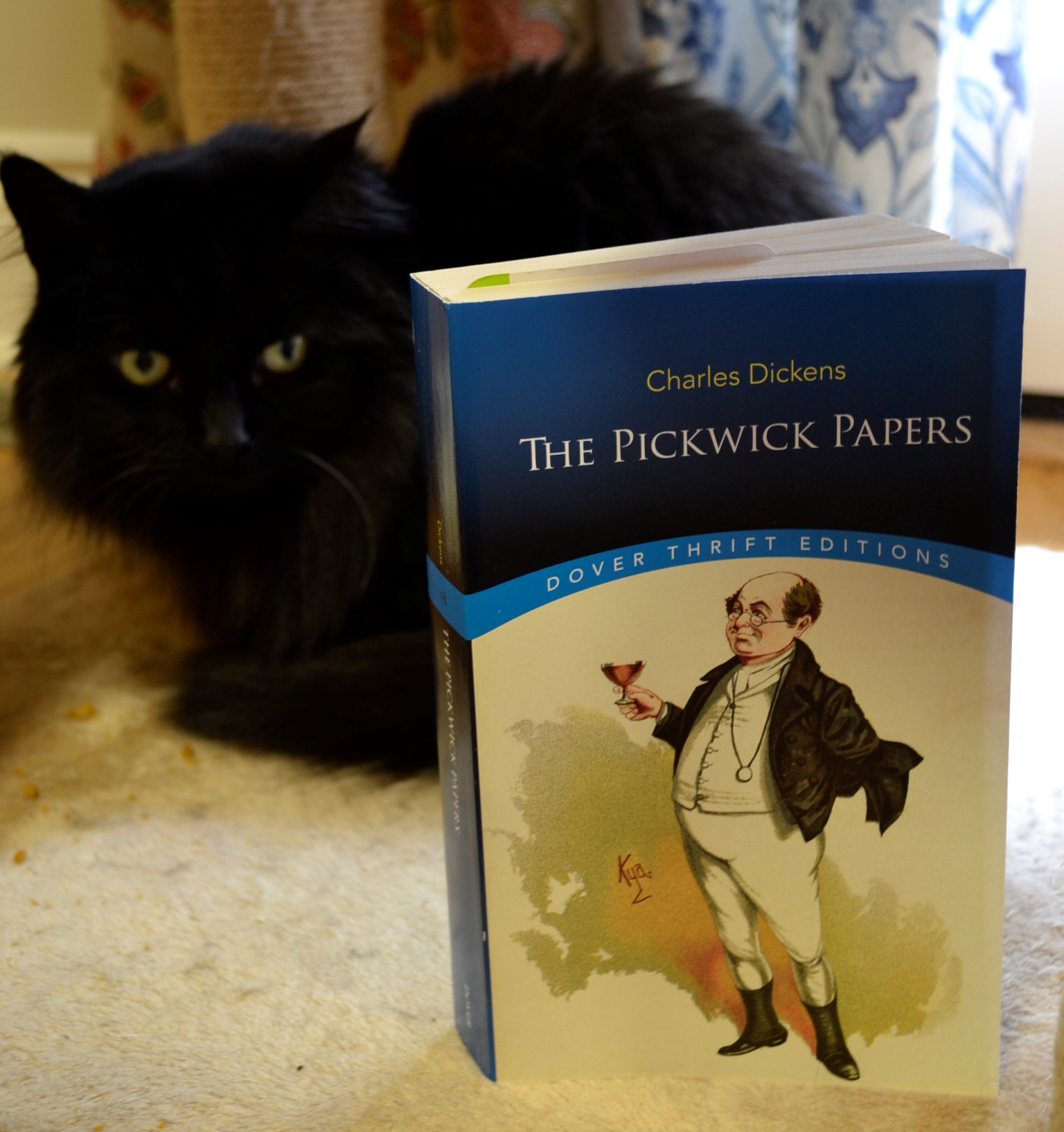 A black cat sits beside a copy of The PIckwick Papers.