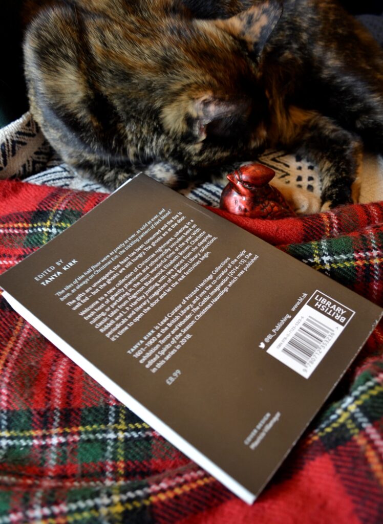 A tortoiseshell cat sleeps beside the back cover of Chill Tidings.