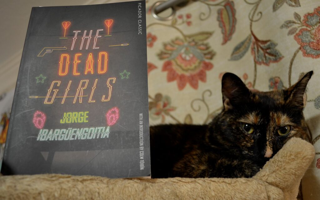 A cranky tortoiseshell cat and a cover that says The Dead Girls in neon.