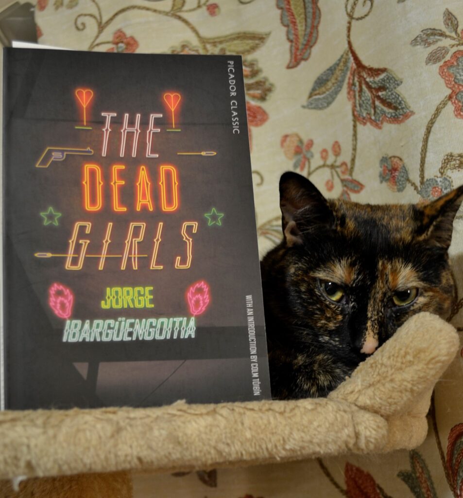 A cranky tortoiseshell cat and a cover that says The Dead Girls in neon.