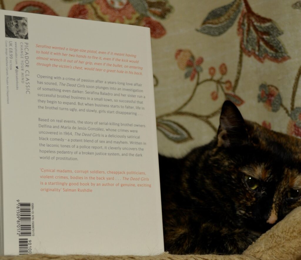 A sleepy tortoiseshell cat and the white back cover of The Dead Girls.