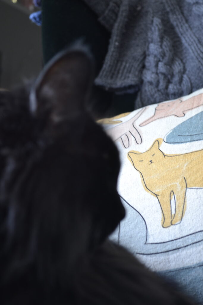 A black fluffy cat sits in front of a pillow with cat images on it.