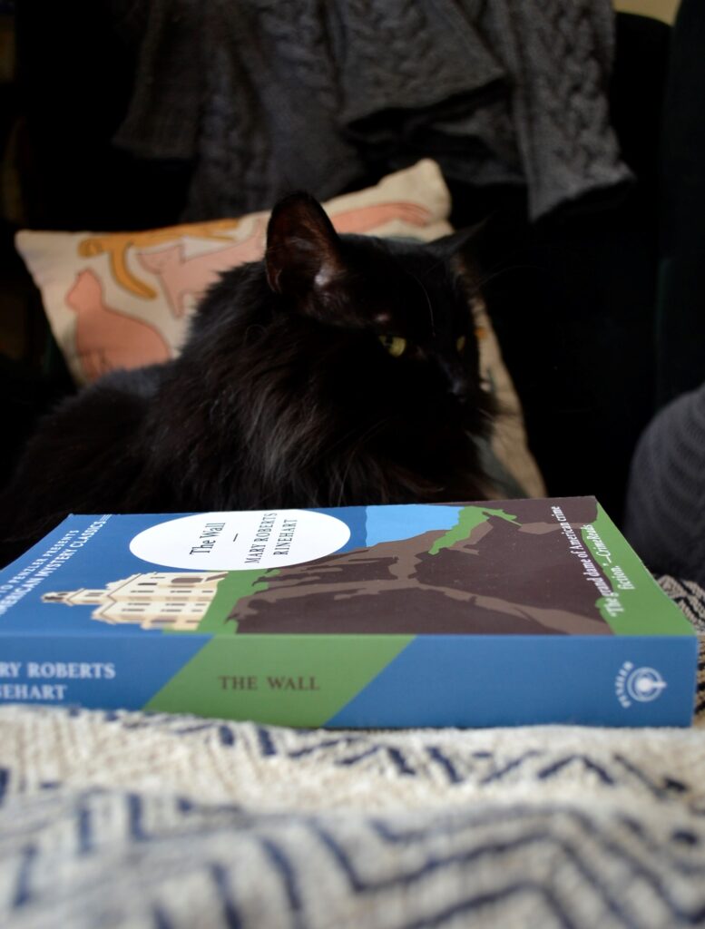 A black cat looks over the blue and green spine of The Wall.
