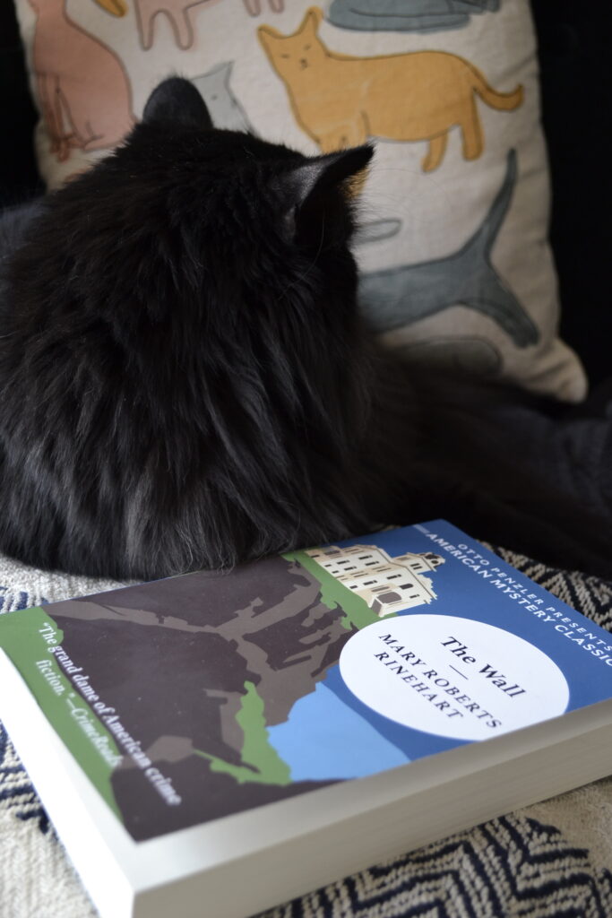 A black cat sits beside a copy of The Wall.