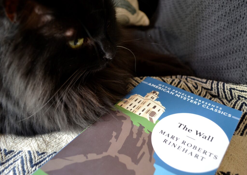 A black cat sits beside a copy of The Wall.