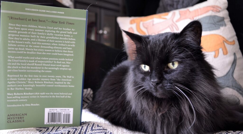 A yellow-eyed fluffy black cat sits beside the green back cover of The Wall.