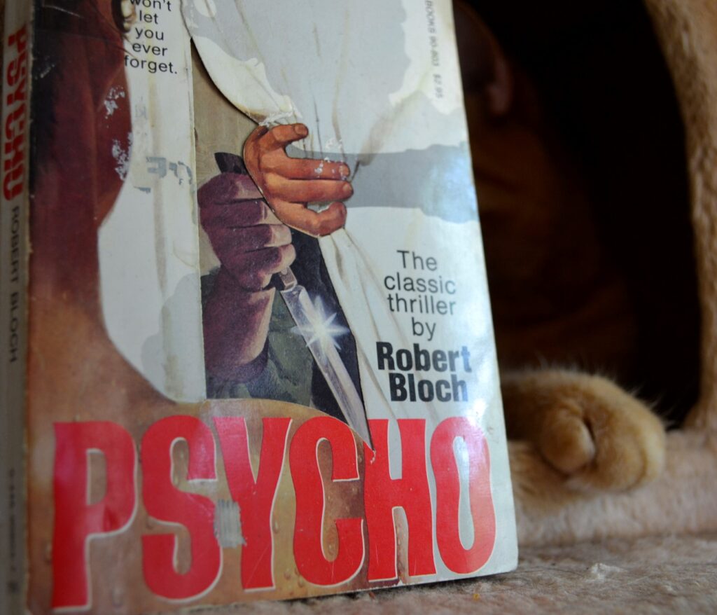 An orange tabby paw reachs towards the red letters and knife image of Psycho.