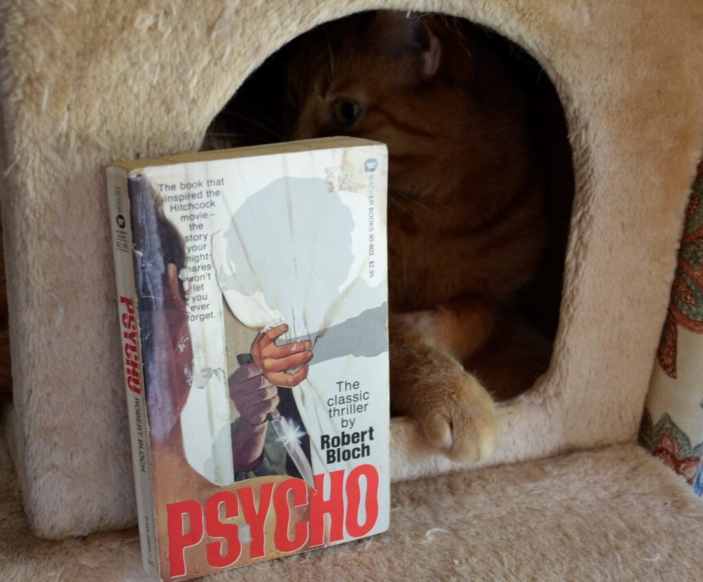 An orange tabby lurks in shadow beside the red title of Psycho.