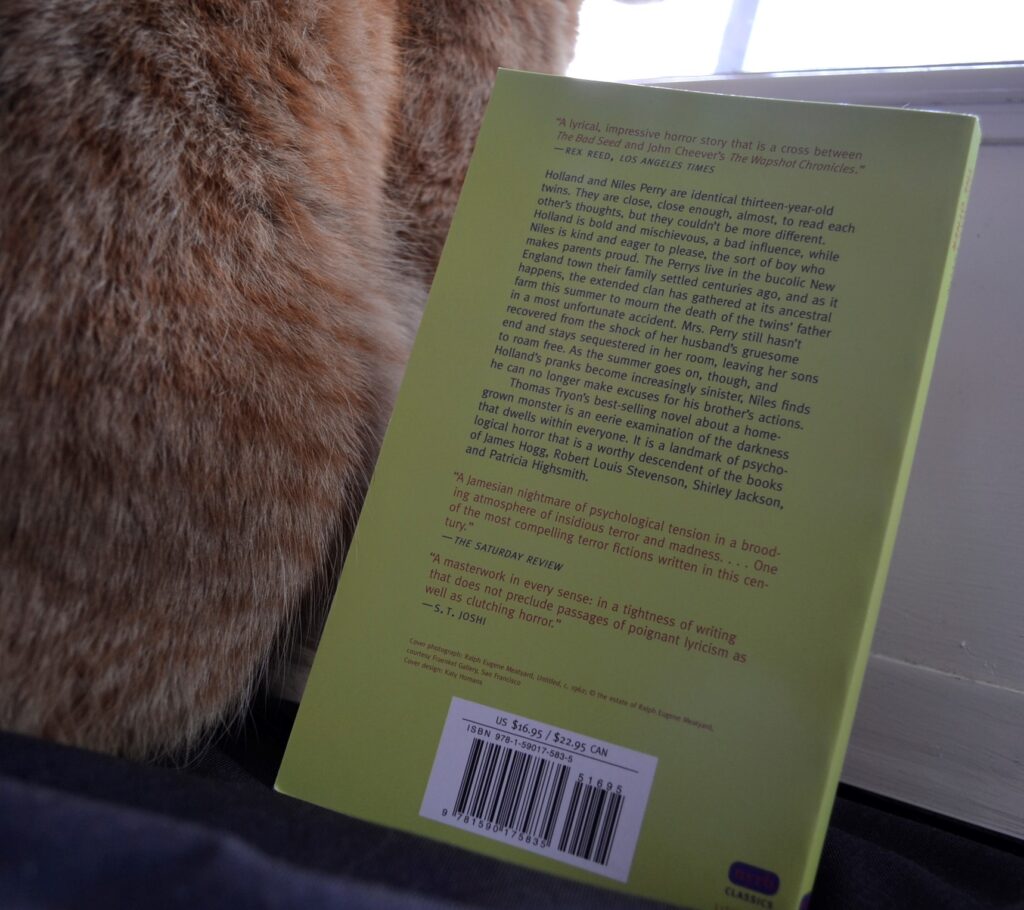 An orange tabby sits beside the lime green back cover of The Other.
