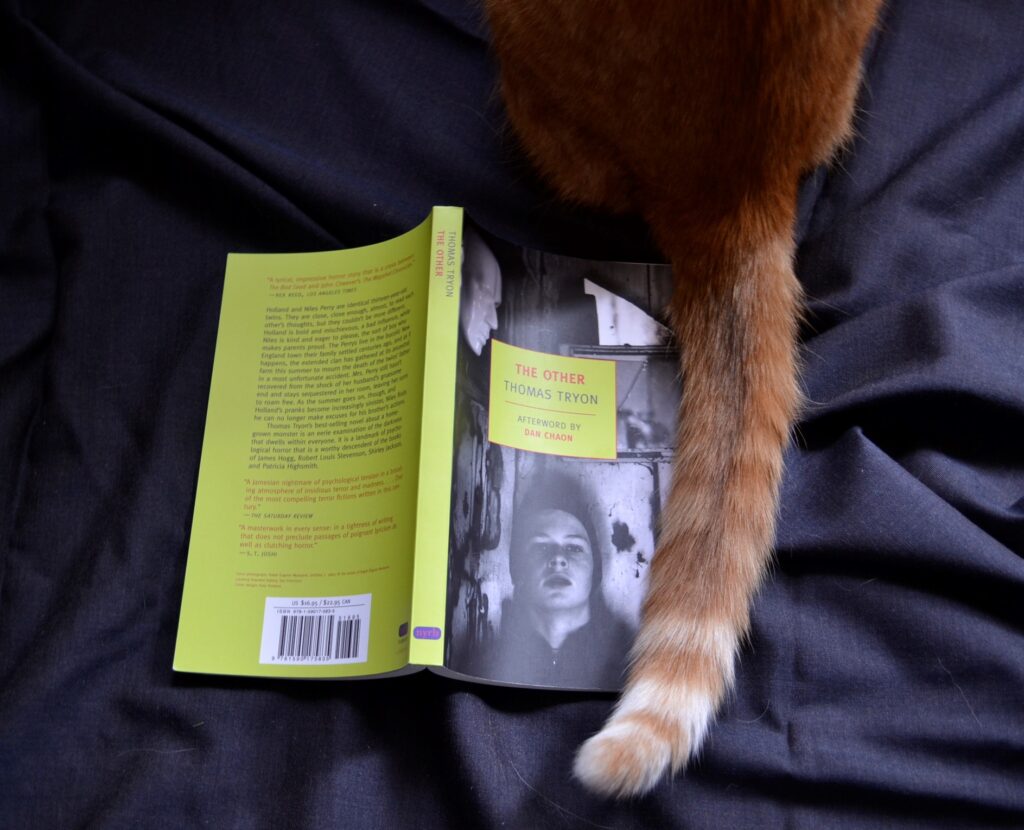 An orange tabby tail lays beside a splayed copy of The Other.