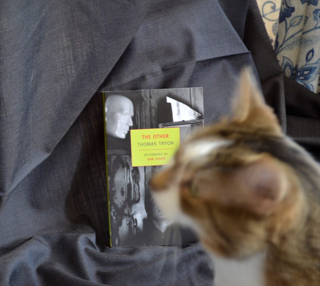 A fawn tabby stand in front of the green, black, and white cover of The Other.