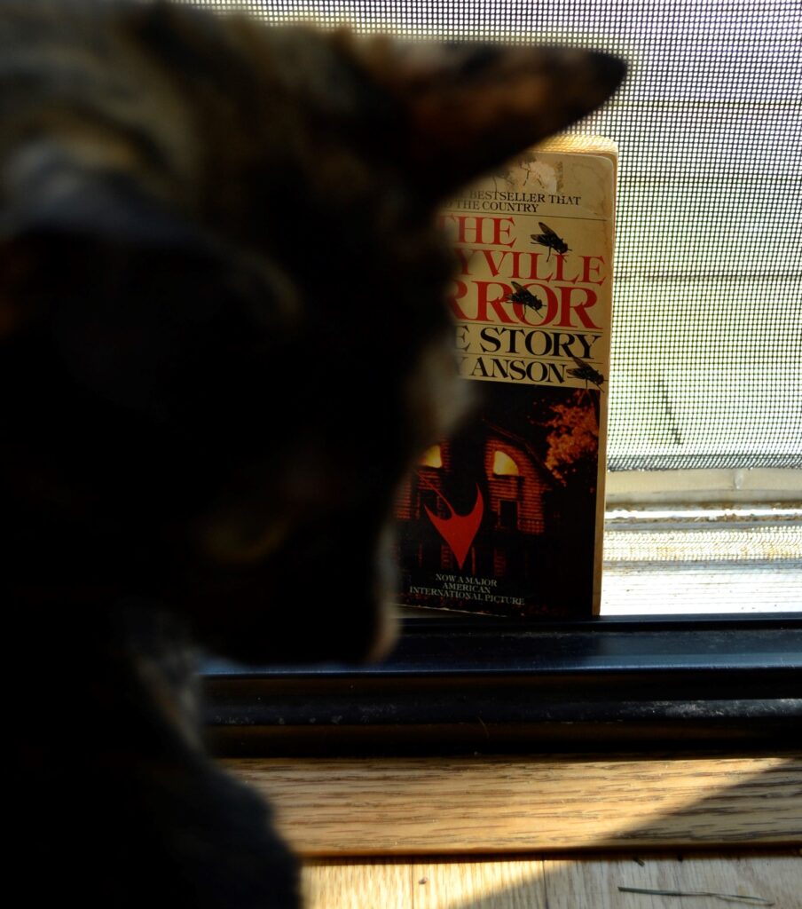 A tortoiseshell cat lurks in shadows in front of The Amityville Horror.