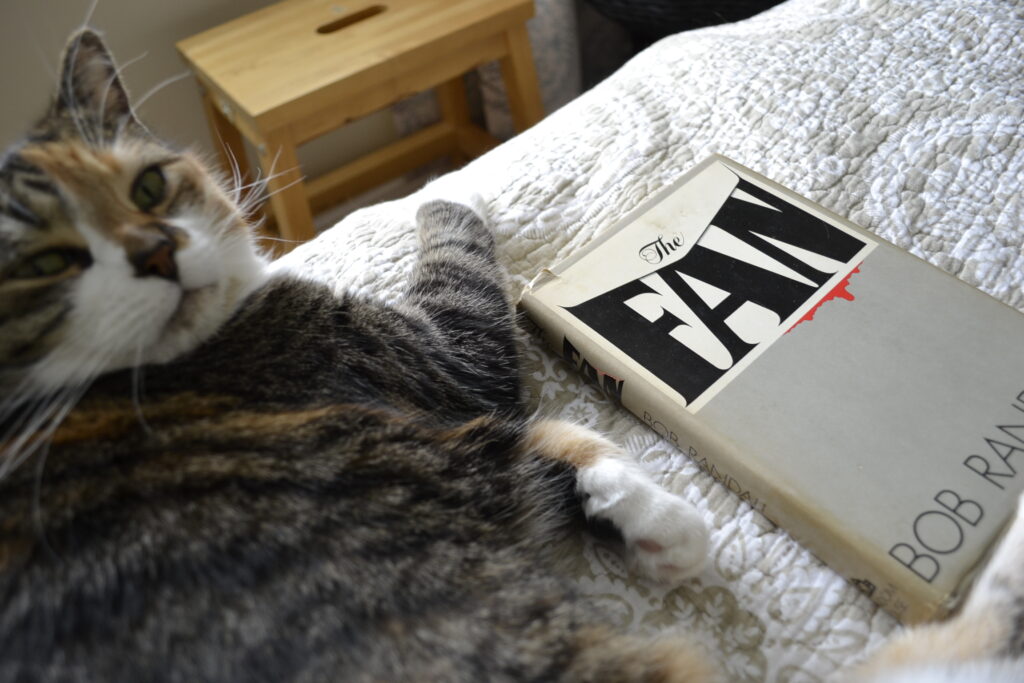 A calico tabby grumpily lounges beside The Fan.