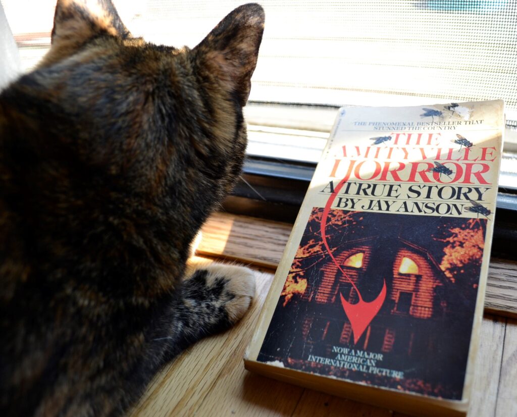 A tortoiseshell cat crouched beside the demonic cover of The Amityville Horror.