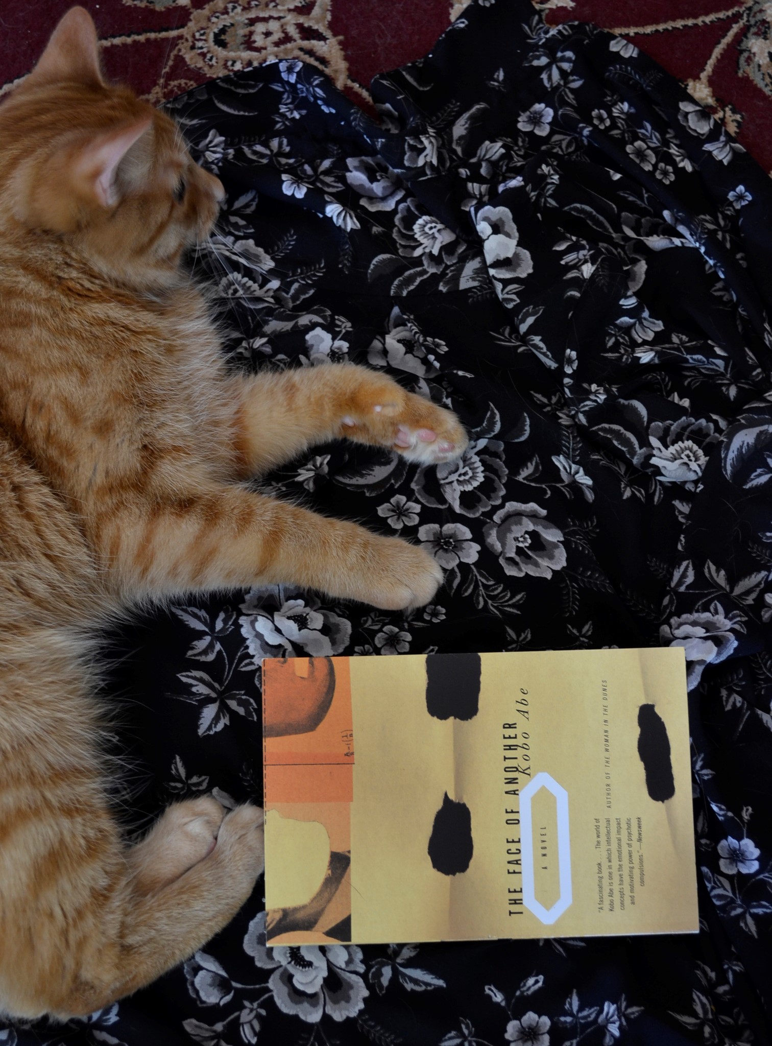 An orange tabby lounges beside the yellow cover of The Face of Another.