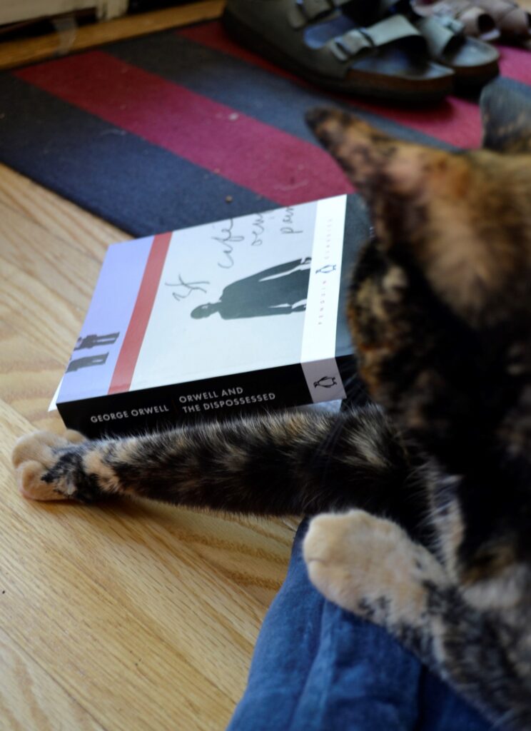 A tortoiseshell cats stretches a red paw beside Orwell and the Dispossessed.