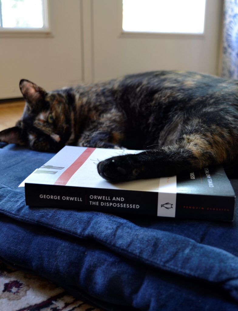 A black paw rests on Orwell and the Dispossessed. The spine is out.