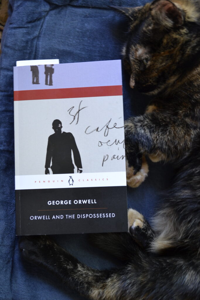 A tortoiseshell cat curls around a copy of Orwell and the Dispossessed.