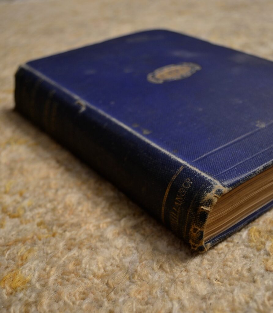 The spine of a very old, blue, clothbound book with gold embossing.