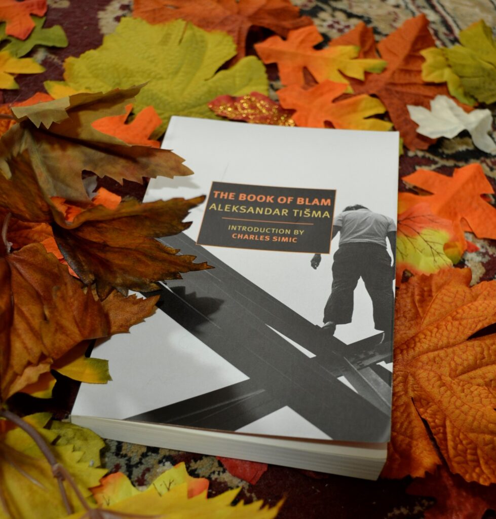 A black-and-white book sites on a pile of orange leaves.