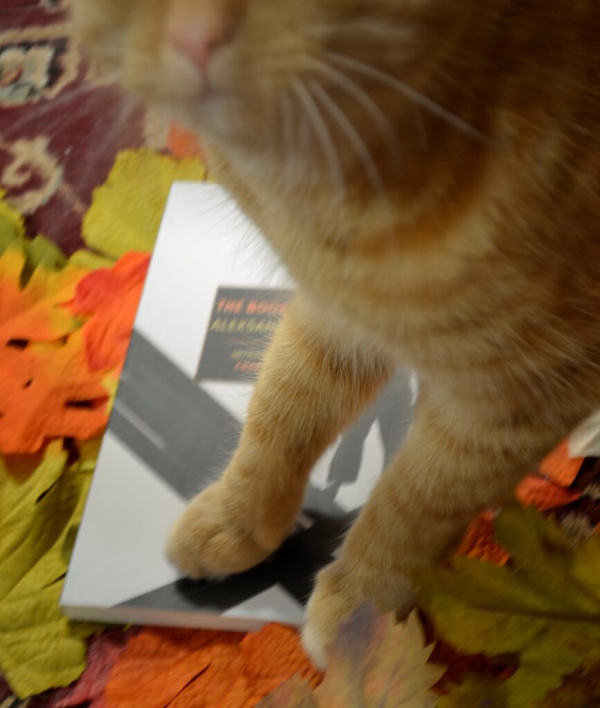An orange cat stands on a black-and-white book in a pile of leaves.