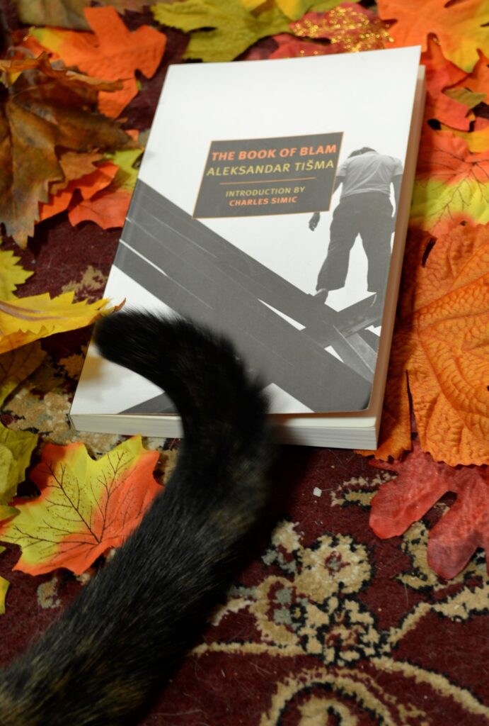 A black-and white book sits in a pile of leaves with a tortoiseshell tail on it.