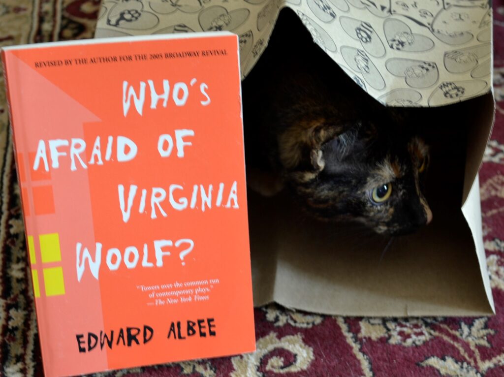 A tortoiseshell cat crouches in a paper bag beside Who's Afraid of Virgina Woolf?