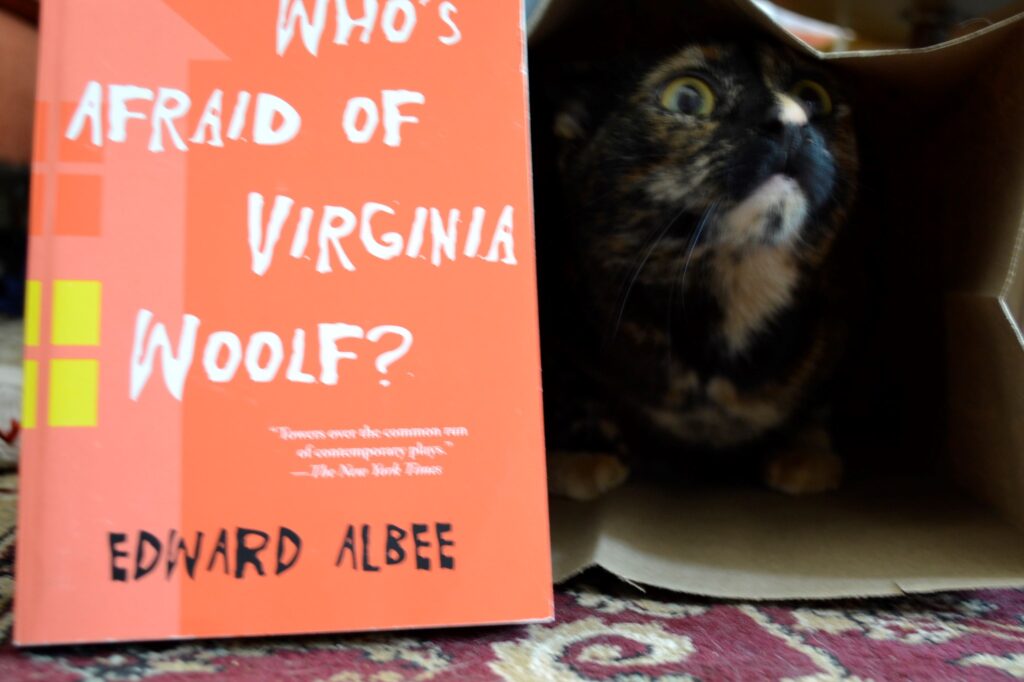 A tortoiseshell cat looks out of a paper bag beside a bright orange book.