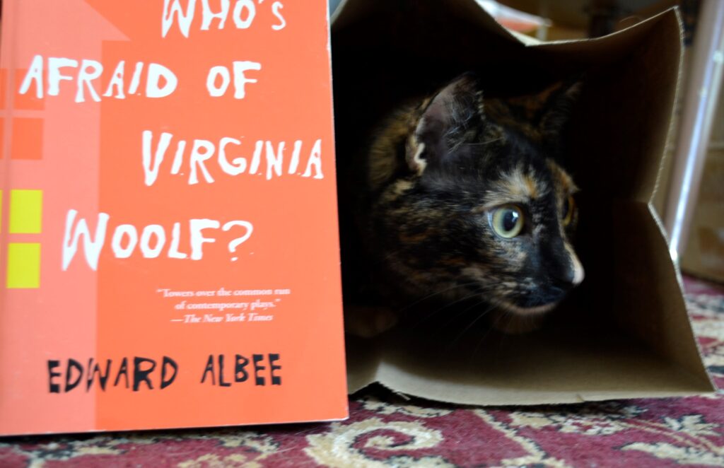 A tortoiseshell cat crouches in a paper bag beside a bright orange book.