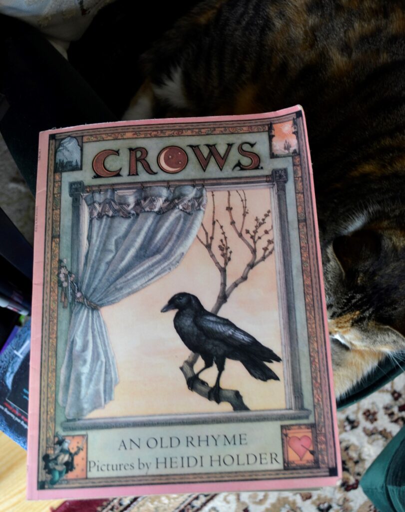 The cover of Crows features on crow on budding branch, beneath a curtain.