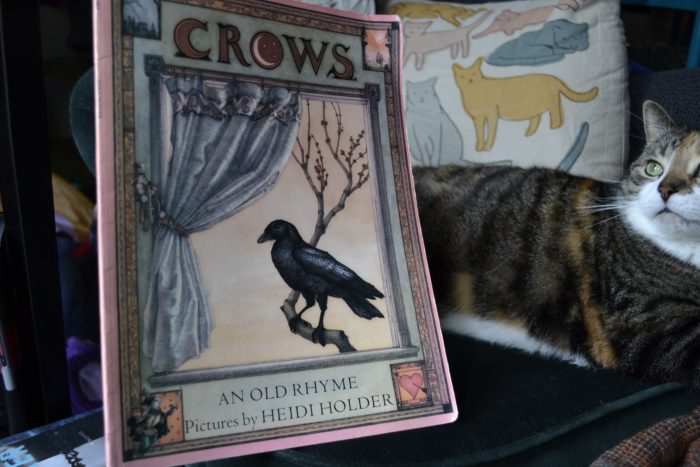 A calico tabby sits beside the richly illustrated cover of Crows.