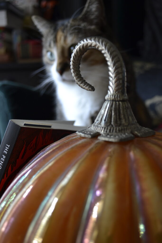 A calico tabby and the edge of a book can be seen behind the brass stem of a glass pumpkin.