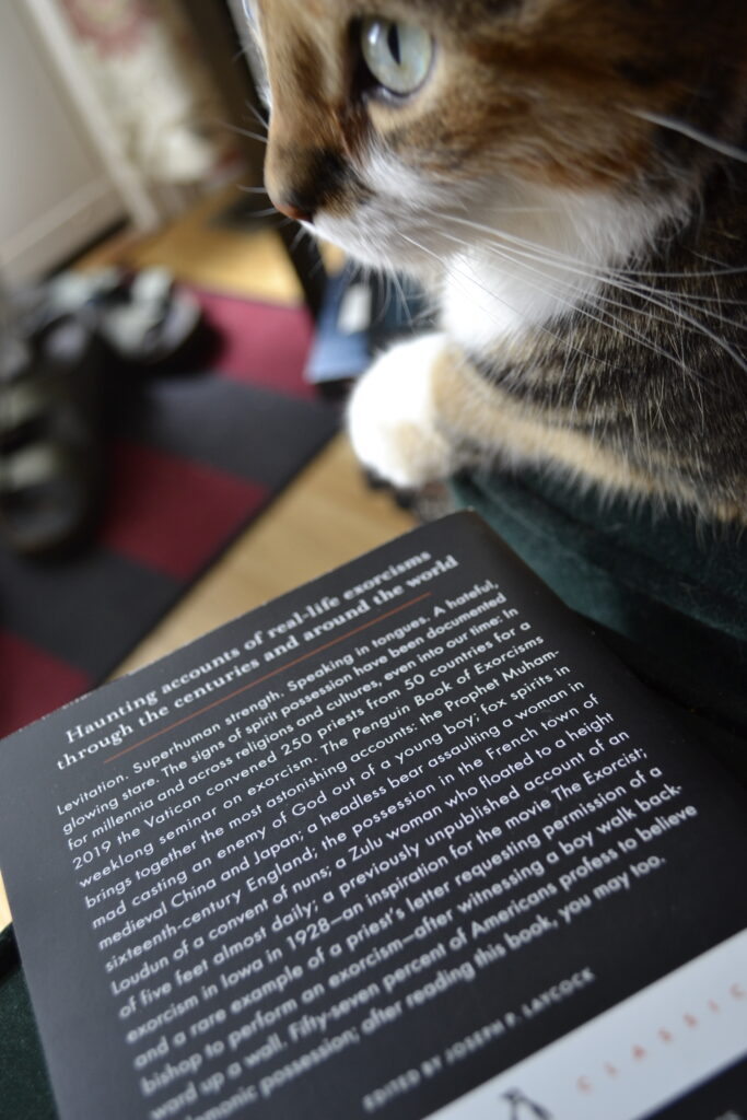 A black book with white text sit beneath a calico tabby.
