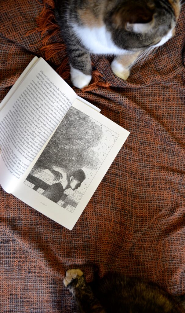 A calico tabby and a tortoiseshell cat sit beside an open book.