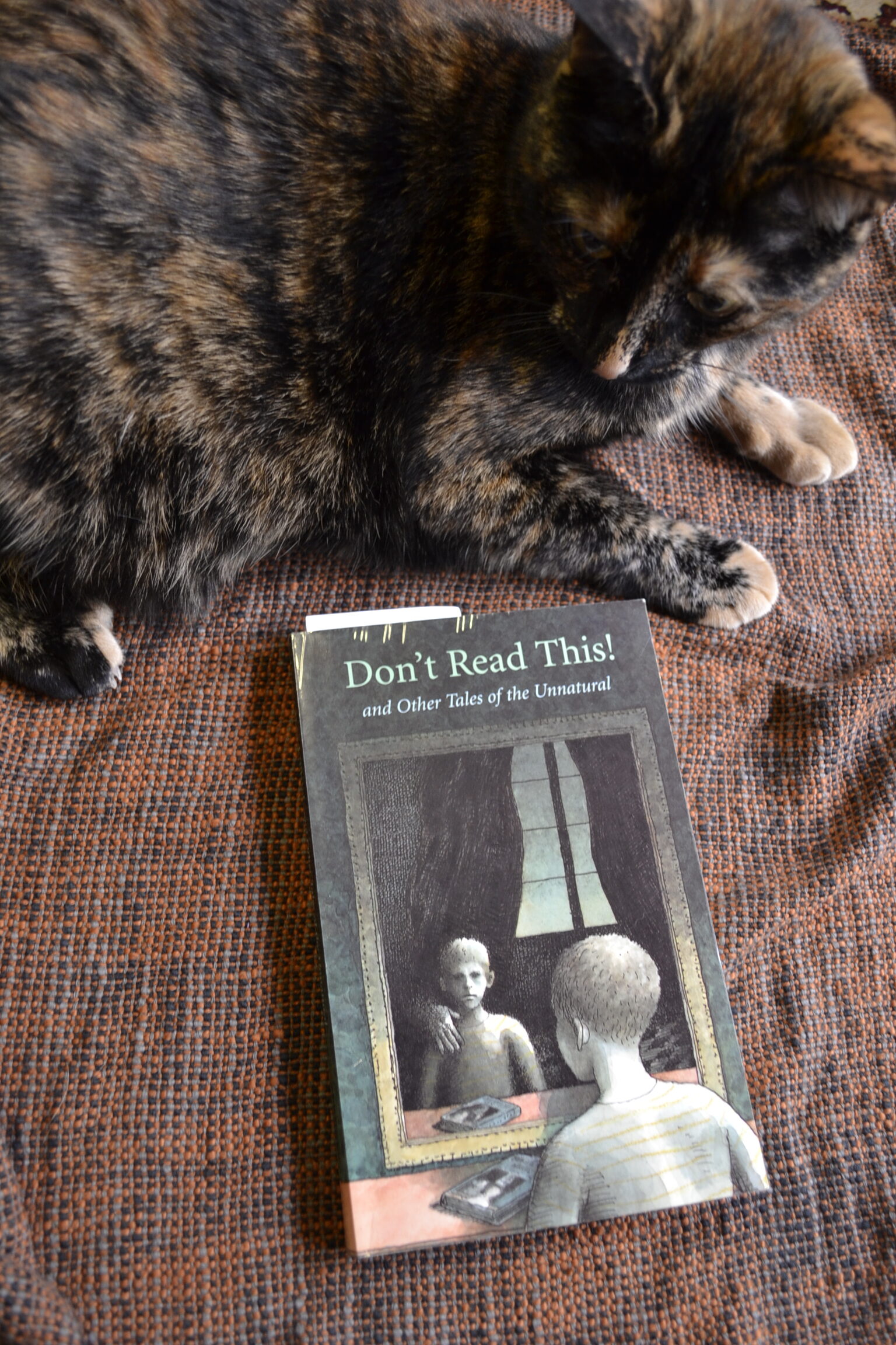 A tortoiseshell cat looks at a book titled Don't Read This!