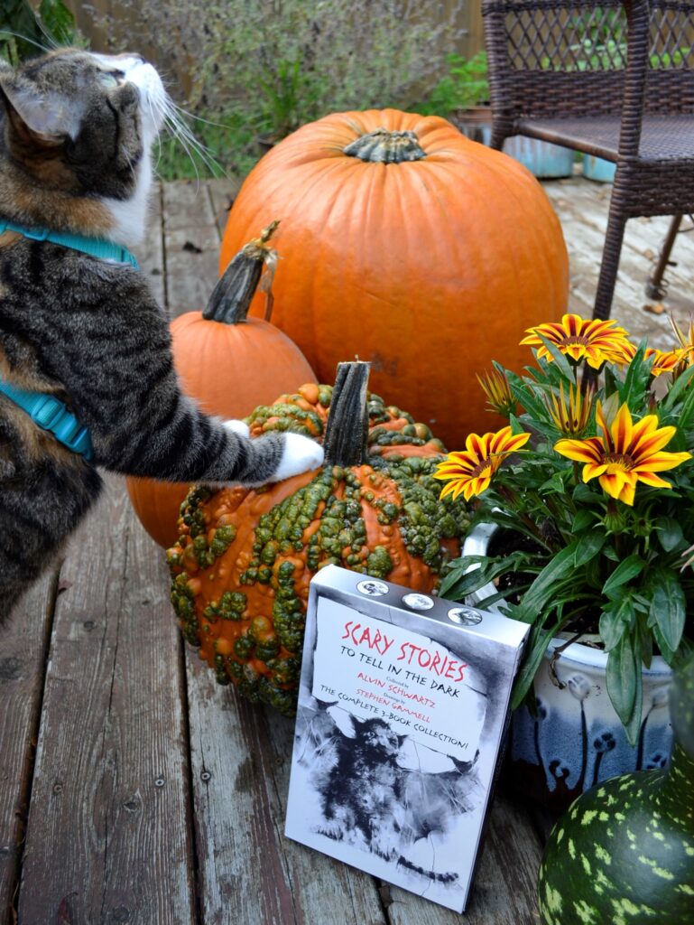 A calico tabby stands on some pumpkins over Scary Stories To Tell in the Dark.