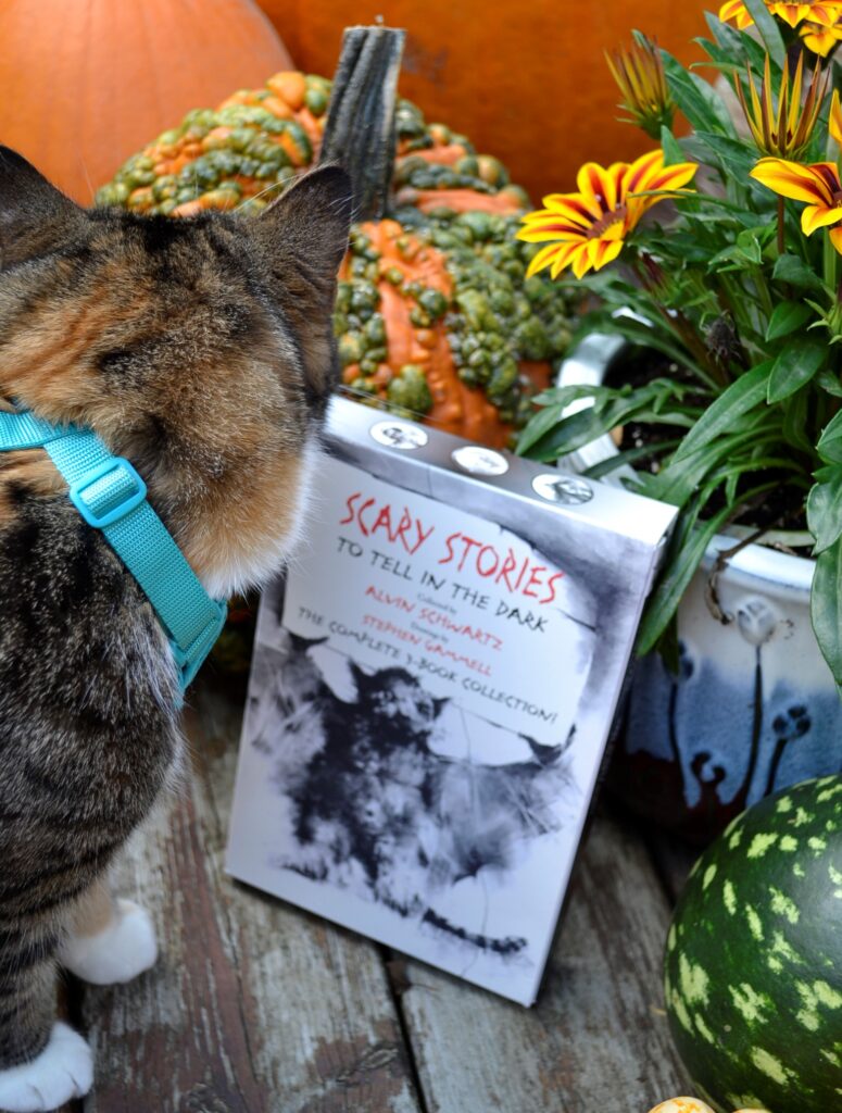 A calico tabby sniffs a box set of Scary Stories to Tell in the Dark.