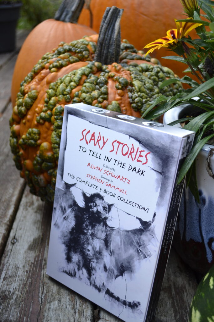 A box set with a frightening drawing of a bat sits beside a warty pumpkin.