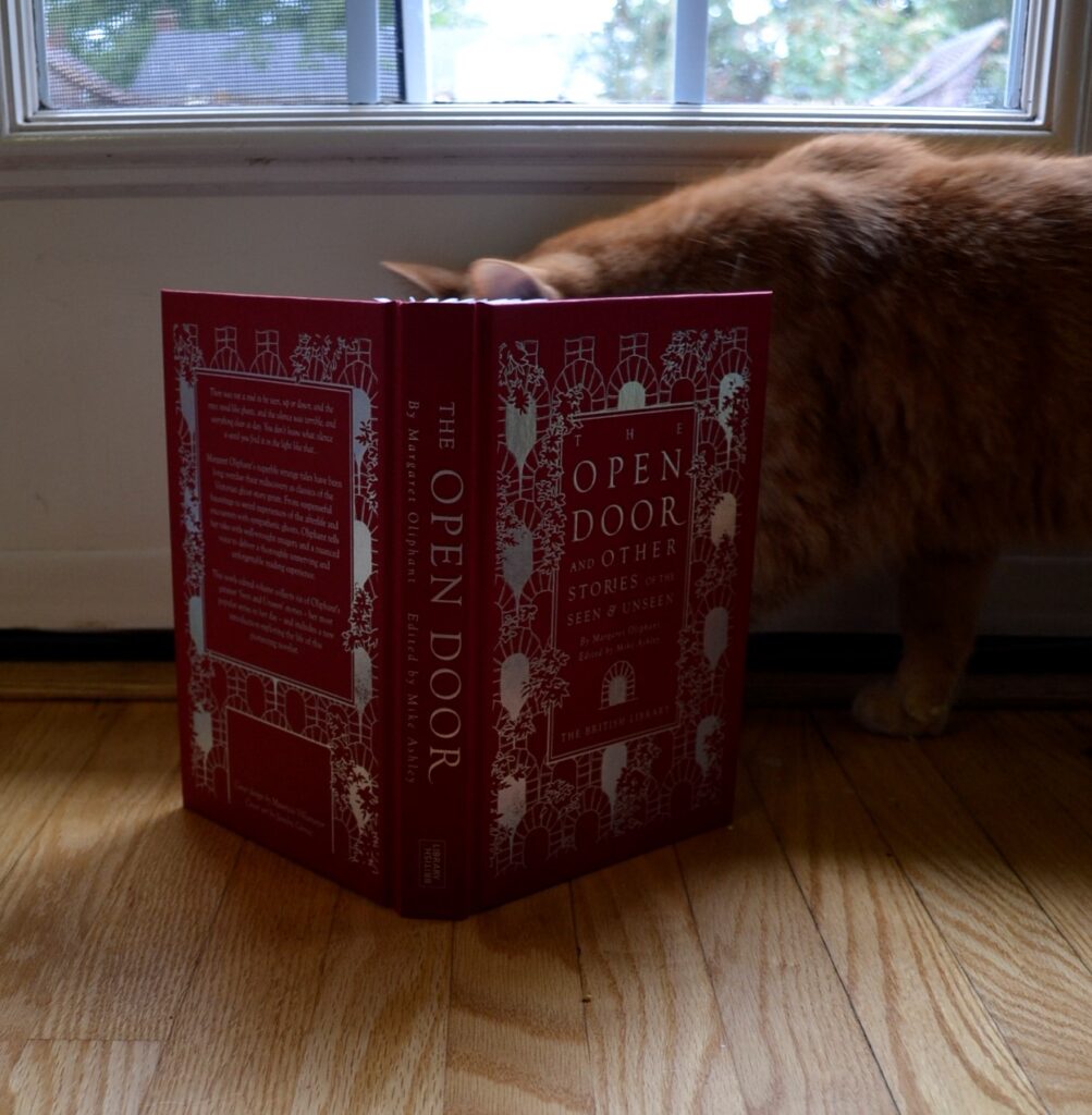 Anorang tabby 'reads' The Open Door in front of a white door with windows.