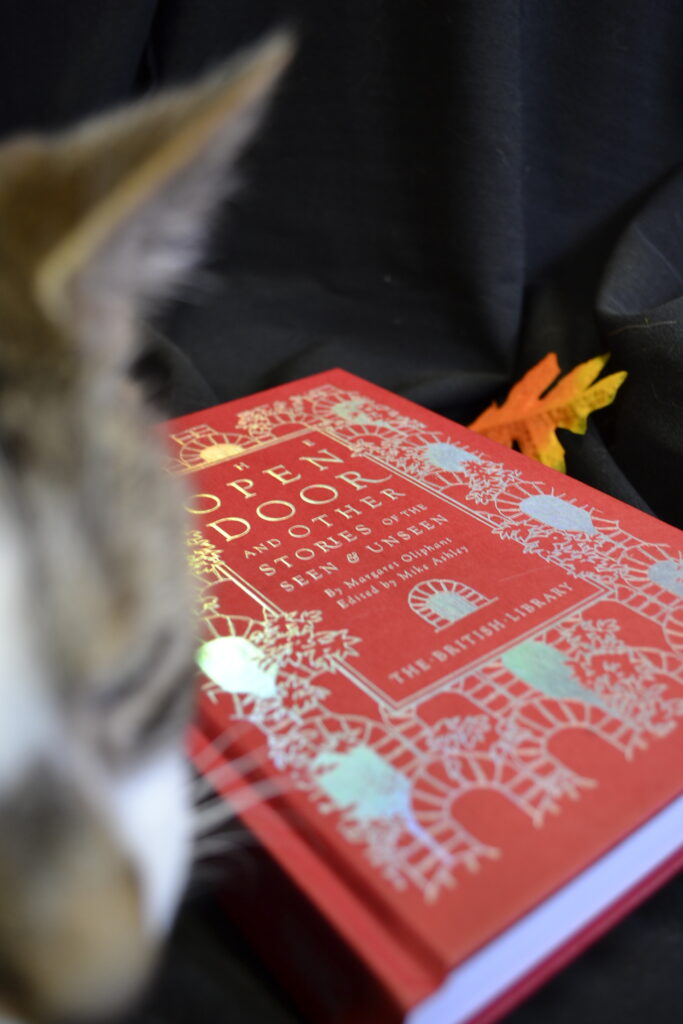 A tabby cat is too close to the camera above a red book.
